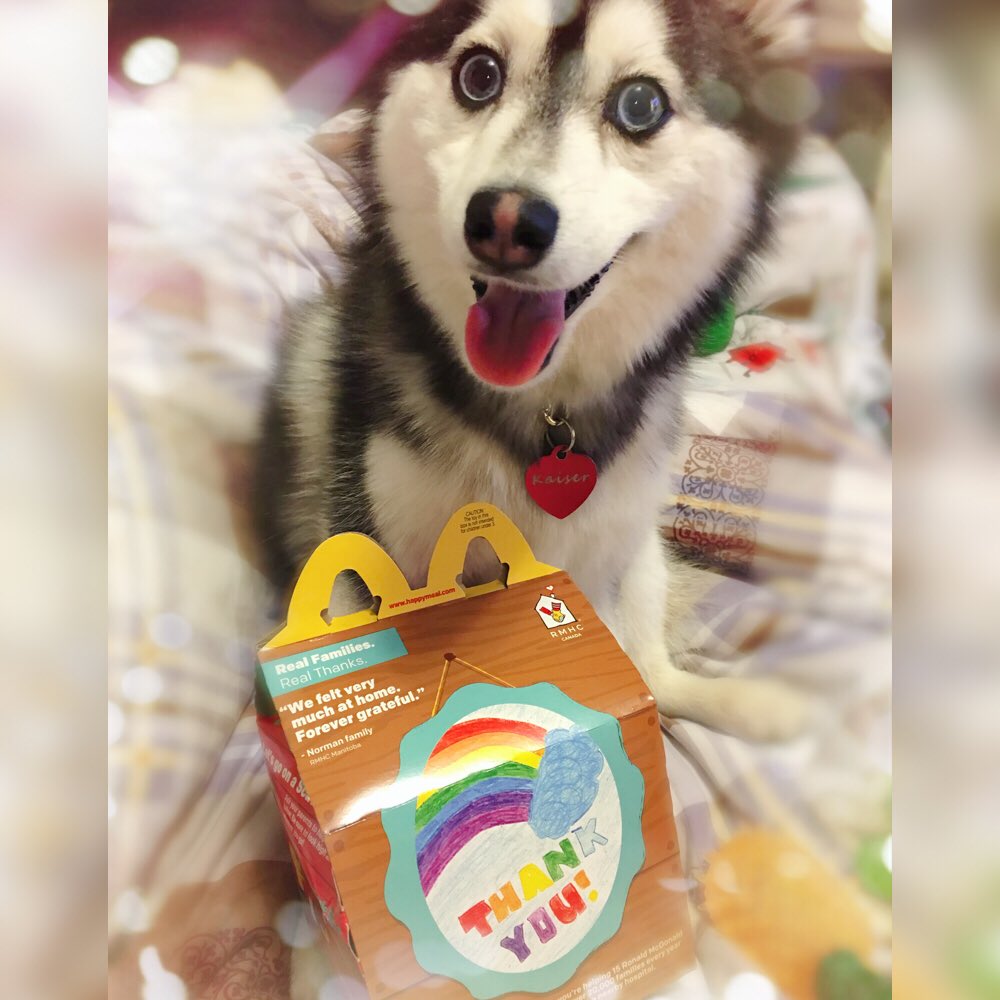 kaiserthepomsky's tweet photo. Proud supporter of Ronald McDonald House Charities on #McHappyDay today!❤️😍 @McDonaldsCanada @RMHCCanada 🍟🇨🇦 https://t.co/jZq0CBhI9m