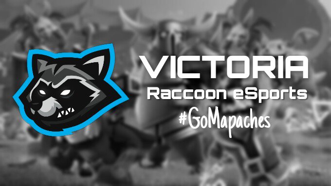 Raccoon eSports 🇦🇷 tweet media