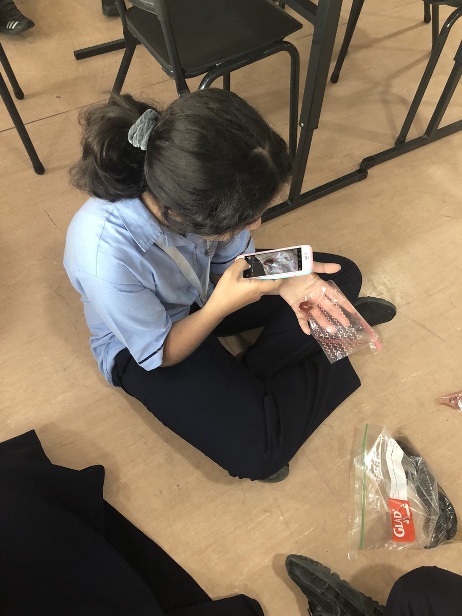 AIS_Grade6's tweet photo. Observations on our mould investigations are going well as are our scientific reports #AISmiddleschool #AISscience https://t.co/9wEA1whkSr