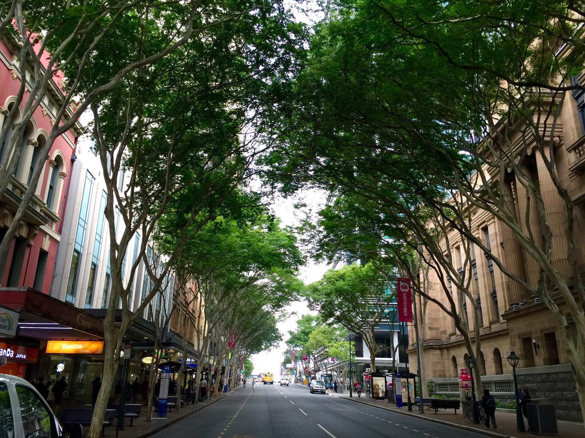 I have a hard time picturing a street that wouldn’t be better with street trees! Can you? Please share your favourite gorgeous tree-lined street or “kissing canopy,” or alternatively share a street you think badly needs street trees, using the hashtag  #StreetsAreBetterWithTrees!