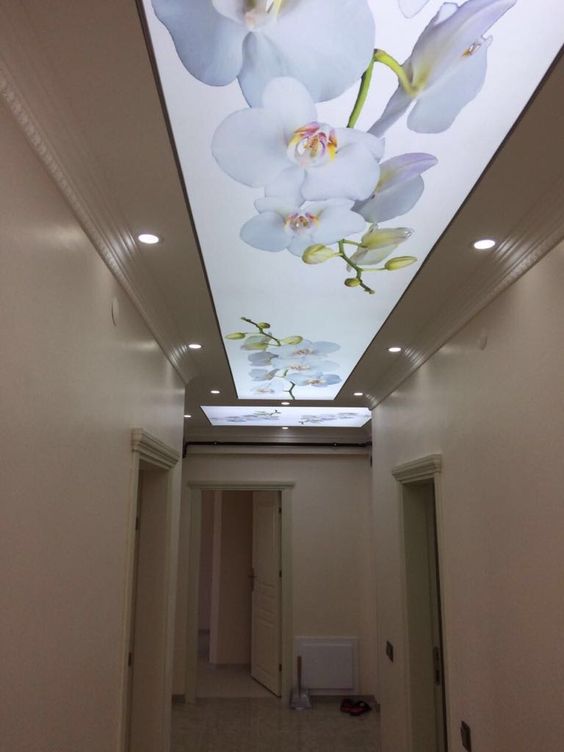 facedesigndecor's tweet photo. الاسقف الفرنسيه
          الاسقف المشدودة
                   الاسقف المضيئة

صمم سقفك بنفسك
الانسقجرام: https://t.co/IdqSaETr8m

#ديكور_منزل #ديكورات #ديكور_داخلي #ديكور #واجهة_التصميم #الرياض #الرياض_الان #الاسقف_الفرنسيه #stretch_ceiling #غرد_عن_حب_السعوديه https://t.co/y4pjo8pv54