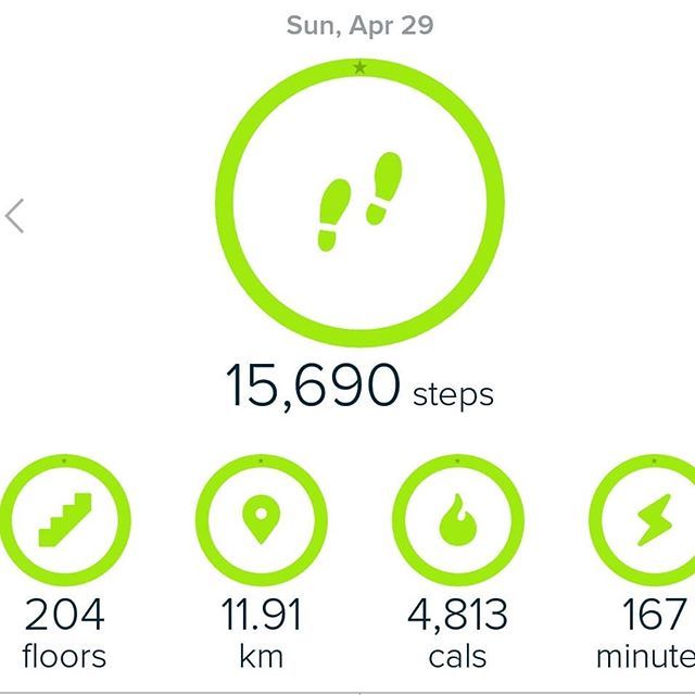 kidakaka's tweet image. The good part about being on a vacation is that all the goals are easily met. This was pretty much the most enjoyable way to hit all the targets!

Now if only I could start enjoying exercise!! #ifonly #instagoals #fitbit #goals #instahealth #munnardiarie… ift.tt/2HSjGRn