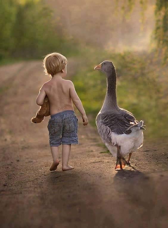 Naturelovers09's tweet photo. Cutest picture ever! https://t.co/2NKjAAfjr4