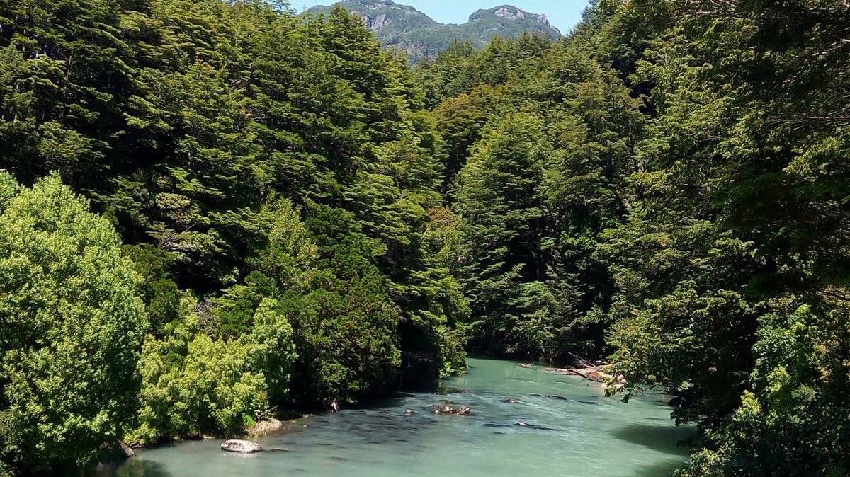 Buen día, tarde o noche amigos tuiteros! Dónde estén, feliz jueves 😍🙋