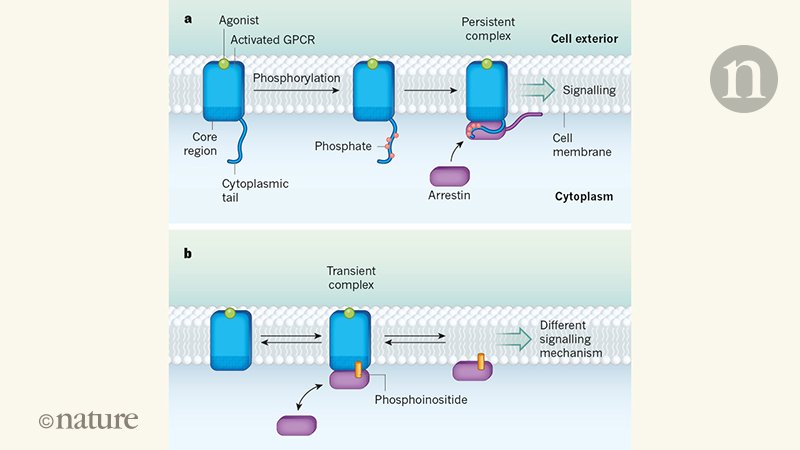 view discussion of various treatments which have been given to