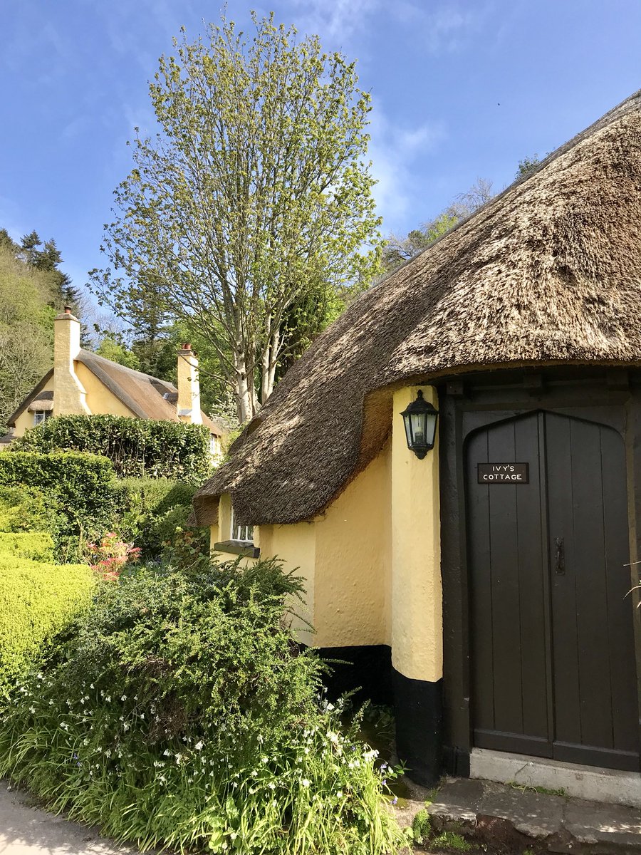 Glorious morning here on Selworthy Green. #exmoor @Exmoor4all @holnicoteNT @NTSouthWest @nationaltrust @VisitSomerset @VisitBritain #englishcountryside #thatchedcottage #quaint #Britain #HistoryTweeter. The collection of cottages created as Almshouses in 1828.