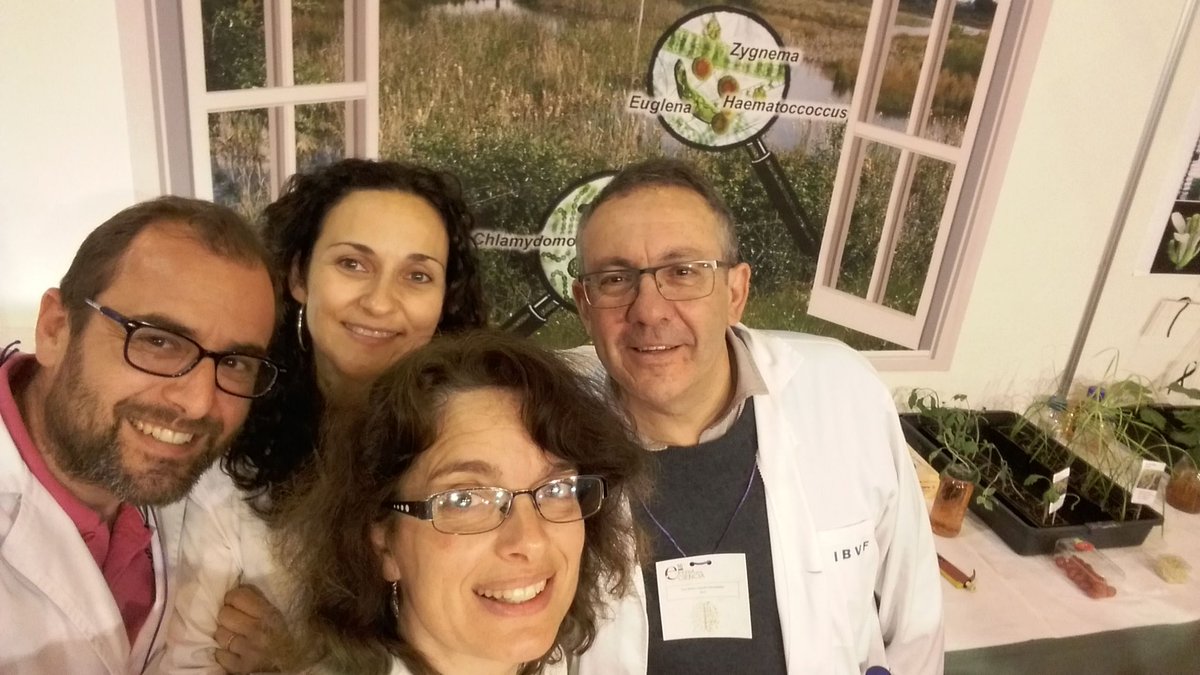 Abriendo nuestra ventana a la biodiversidad en la <a href="/FeriaCiencia/">Feria de la Ciencia</a> <a href="/cicCartuja/">cicCartuja</a>