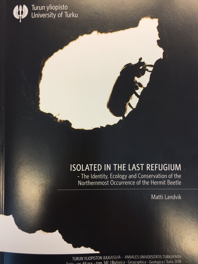 ilarisaaksjarvi's tweet photo. Biodiversity Unit @UniTurku proudly presents: Matti Landvik will defend his PhD-thesis 19.5.2018! Matti’s thesis is an interesting combination of ecology, taxonomy and conservation! Great work Matti! #utubiodiversity #osmoderma #beetles #biodiversity #insects #conservation https://t.co/tdMMeZHNRq