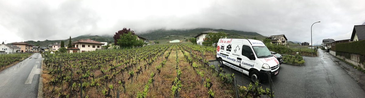 RevNJ's tweet photo. 🇨🇭Installation new outdoor office completed. Two #nightjar territories occupied, waiting for more to return! 🐥#Switzerland @vogelwarte_ch @jn_pradervand @uhasselt @FRC_UHasselt @Eddyulenaers #PROFIPAINT #51club🇨🇭 https://t.co/RriNp1Jdty