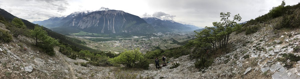 RevNJ's tweet photo. 🇨🇭Installation new outdoor office completed. Two #nightjar territories occupied, waiting for more to return! 🐥#Switzerland @vogelwarte_ch @jn_pradervand @uhasselt @FRC_UHasselt @Eddyulenaers #PROFIPAINT #51club🇨🇭 https://t.co/RriNp1Jdty