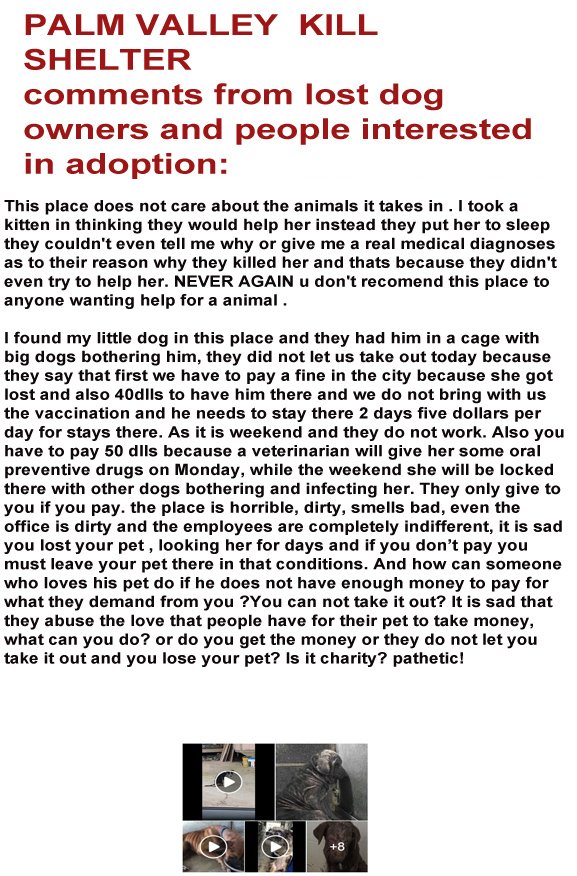 righttospeak3's tweet image. we already have several statement from victims of #pvactx misleading practices.ANYONE who has been in direct contact with pvactx and has been lied to&amp;amp;anyone who witness any form of animal abuse at pvac DO PLS GET IN TOUCH