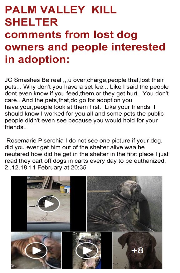 righttospeak3's tweet image. we already have several statement from victims of #pvactx misleading practices.ANYONE who has been in direct contact with pvactx and has been lied to&amp;amp;anyone who witness any form of animal abuse at pvac DO PLS GET IN TOUCH