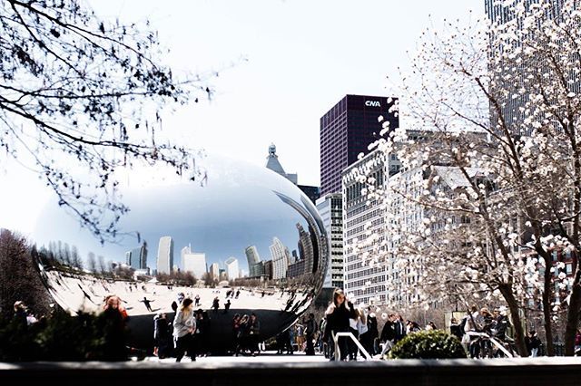 thegreyedit's tweet photo. those springtime in the city vibes 🌸
•
#thegreyedit #blogger #fashionblogger #travelblogger #lifestyleblogger #chicagotravel #chicagovibes #downtownvibes #chicagogram #chicagolife #playingtourist #instagrammable #chicagoguide #travelguide #milleniump… https://t.co/HXkewXNTPj https://t.co/W4N0vwzolD