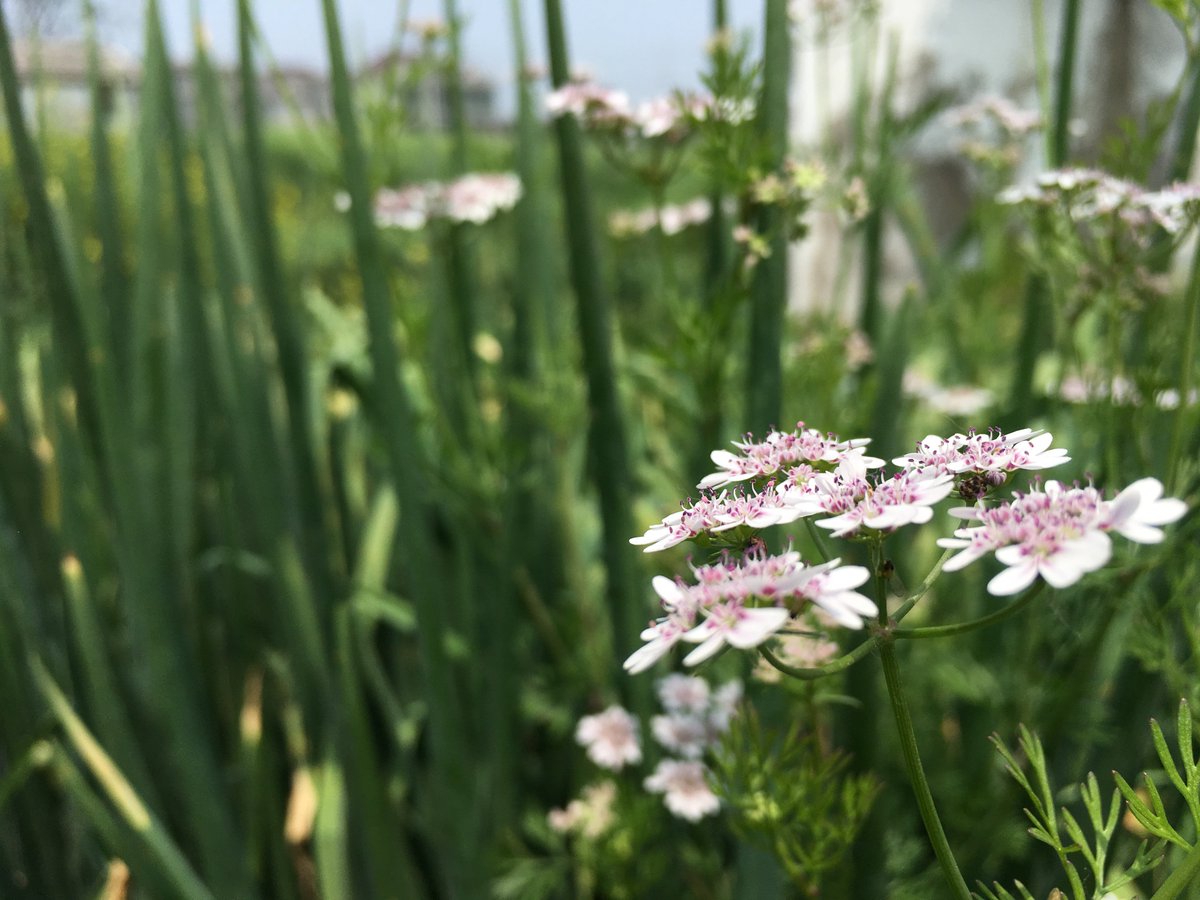 农民摄影爱好者第二季😀