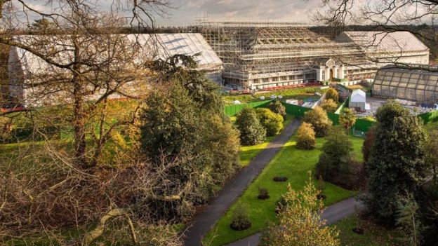 World' largest greenhouse reopens this Saturday! 🌴bbc.co.uk/news/science-e…