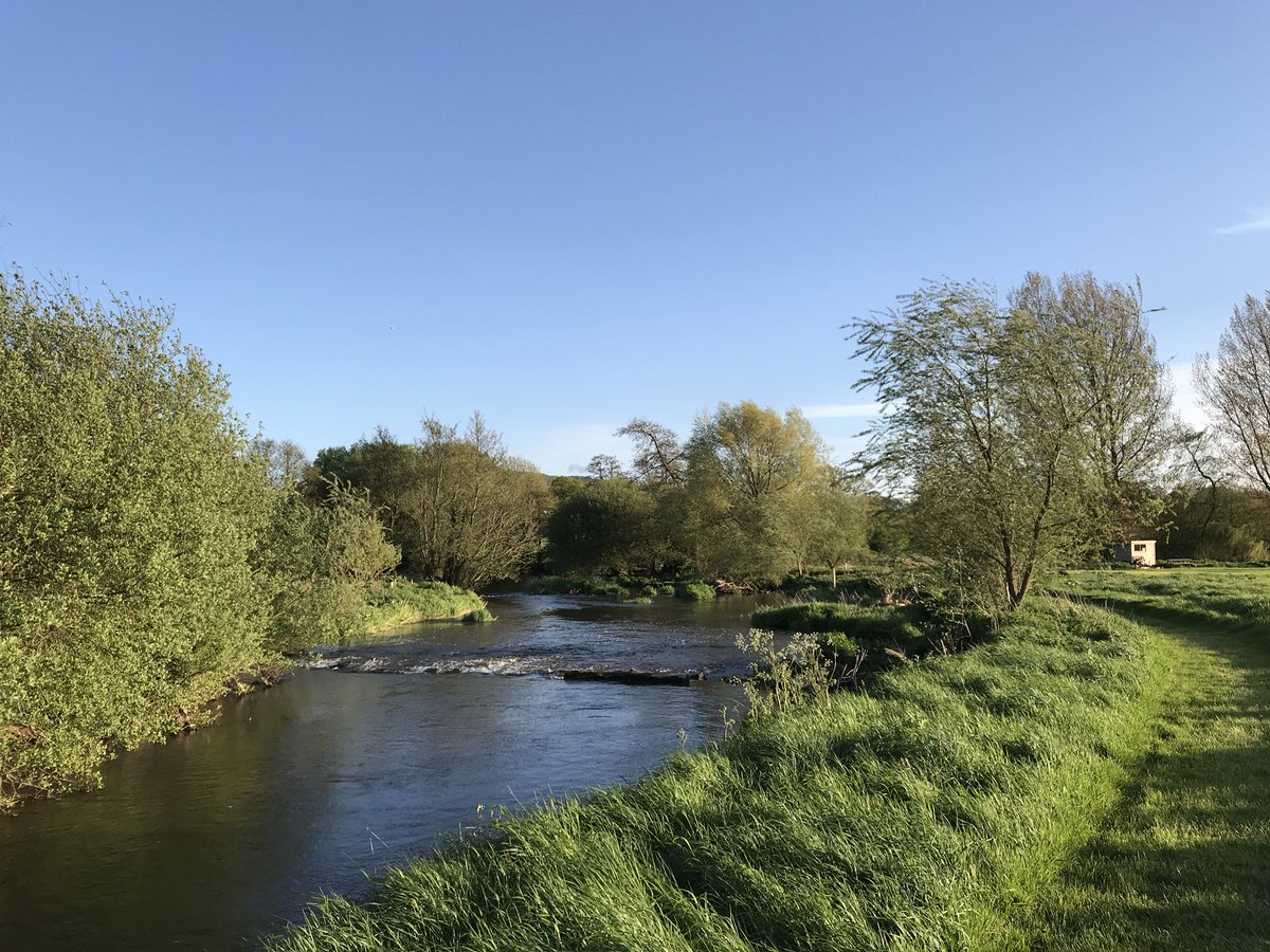 Deer Park Fishery tweet media