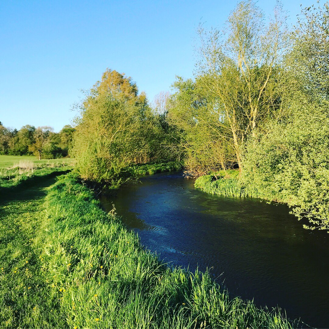 Deer Park Fishery tweet media