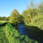 Photo by Deer Park Fishery (@DeerParkFish)