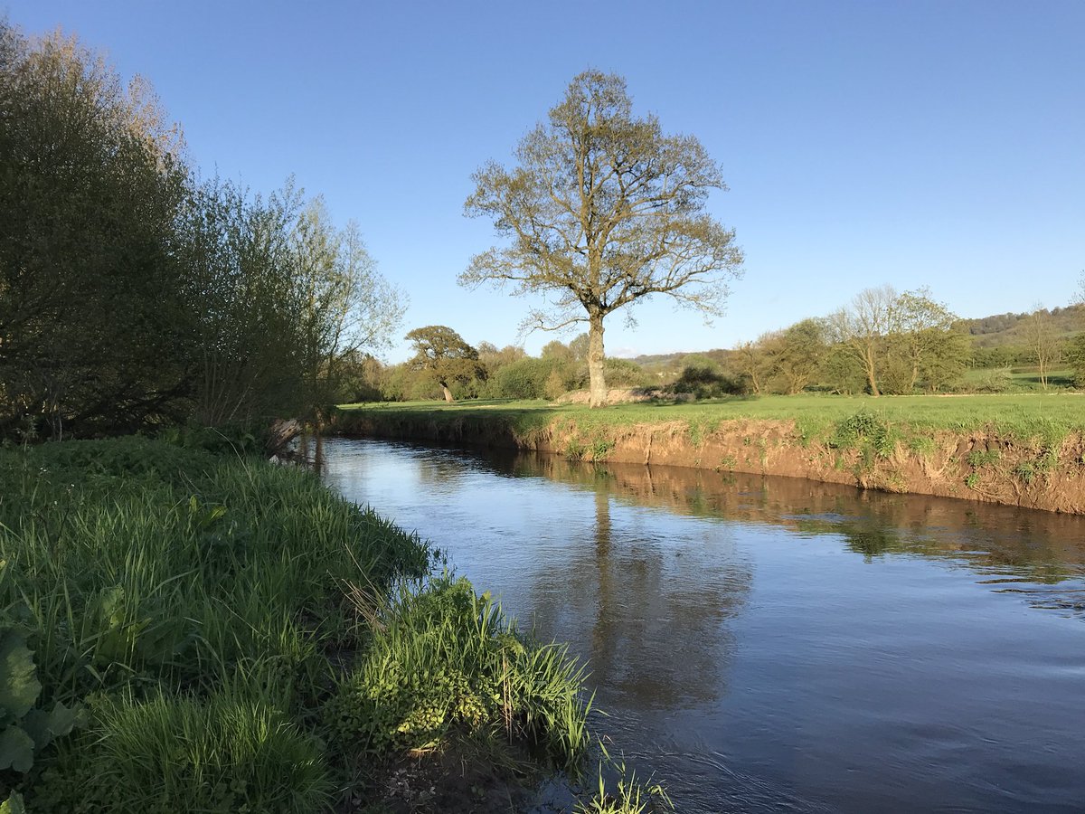 Deer Park Fishery tweet media