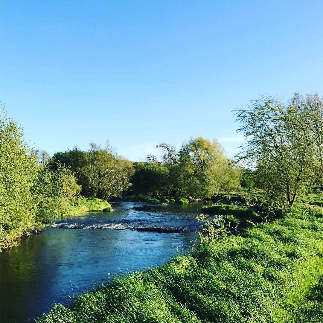 Deer Park Fishery tweet media
