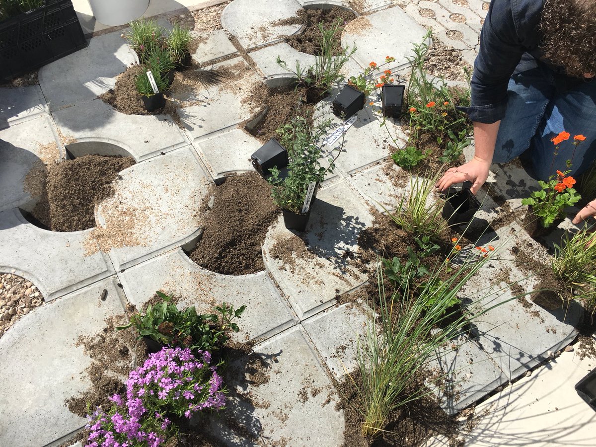 Plantjes er in! En wij zijn klaar over de opening van de #waterstraat op 16 mei. Nieuwe Rain(a)Way tegel in ontwikkeling👏! Samen met @btlrealisatie en EWB <a href="/pannekoek/">Ger Pannekoek</a>