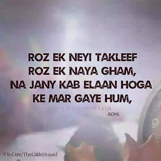 zaibeivirk2's tweet photo. https://t.co/90T4LSxMTP