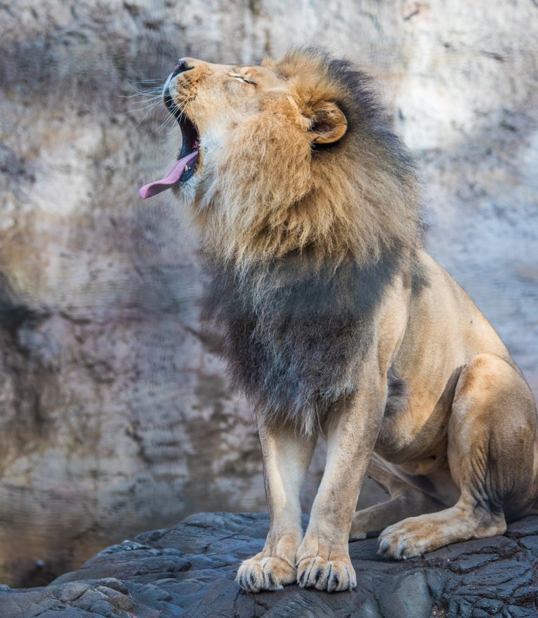 Can you believe it? 30 minutes into Big Day of Giving &amp; the region has already donated $1 million to 523 nonprofits! Let's keep it going! #BDOG2018