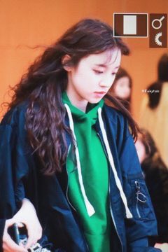 j928348's tweet photo. A FLUFFBALL OMG KAKDJD https://t.co/oUyTs3h30J