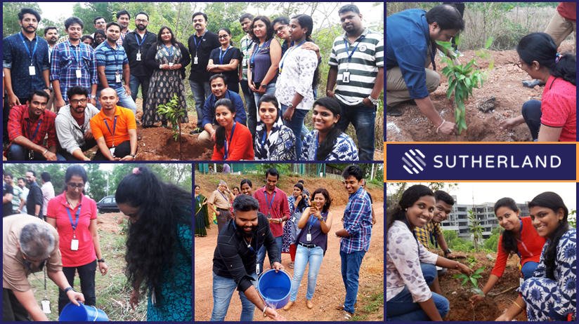 SutherlandHires's tweet photo. Another step towards a healthy and green world! Today we celebrate our #StrongSutherland Cochin team who planted Mango & Chickoo saplings in our Kinfra campus. Great work team! #SutherlandLife #JoinUs https://t.co/BGd8Ta4OfN