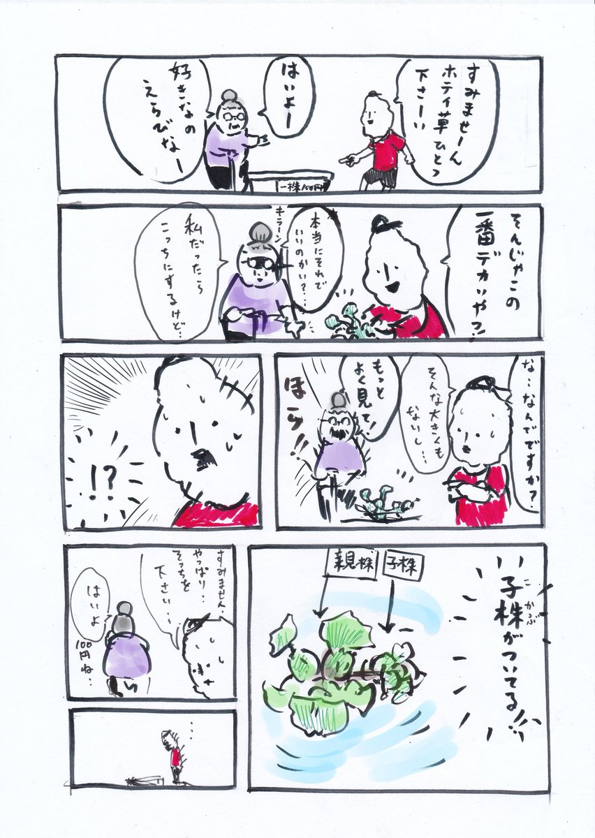 ホテイ草を買った時の漫画です。 