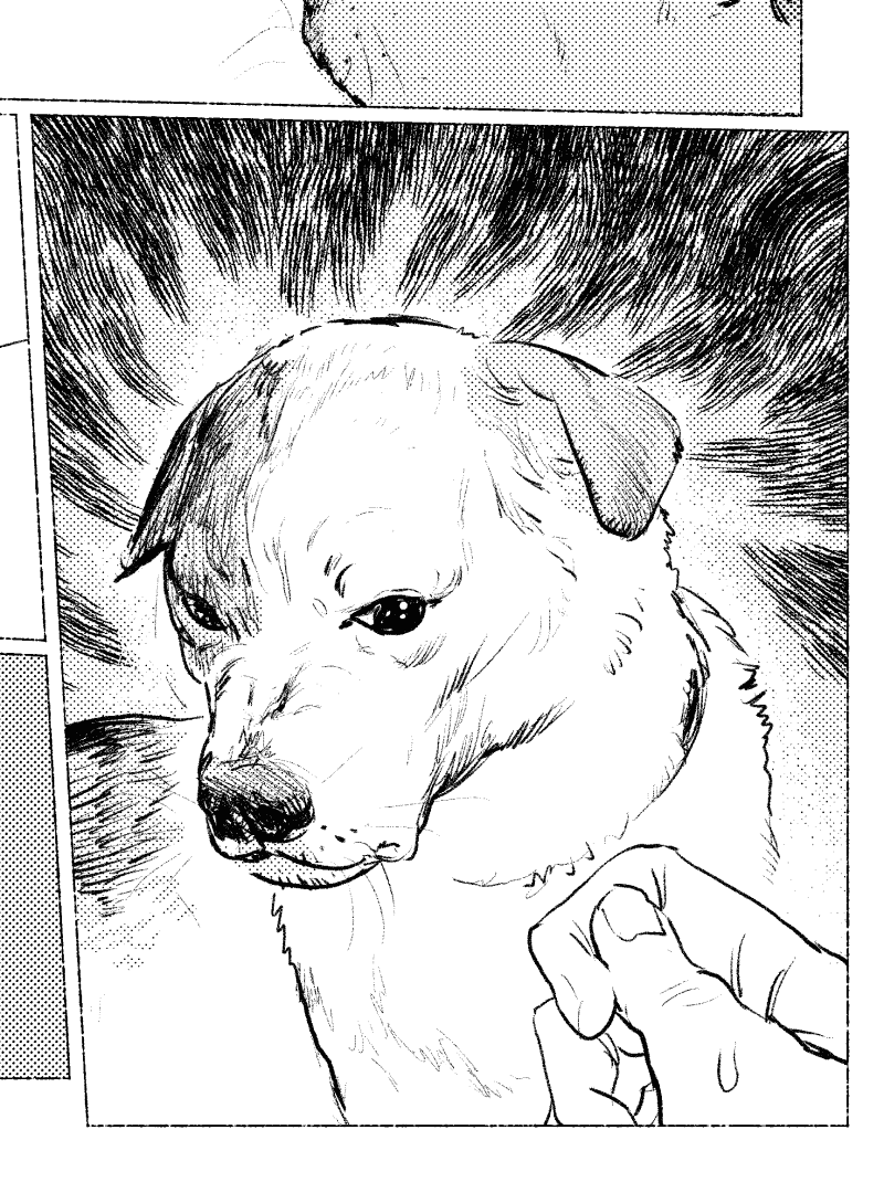 自分好みの犬の表情・動きをよく描けたと思います? 