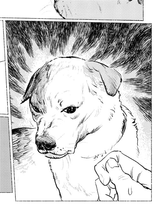 自分好みの犬の表情・動きをよく描けたと思います? 