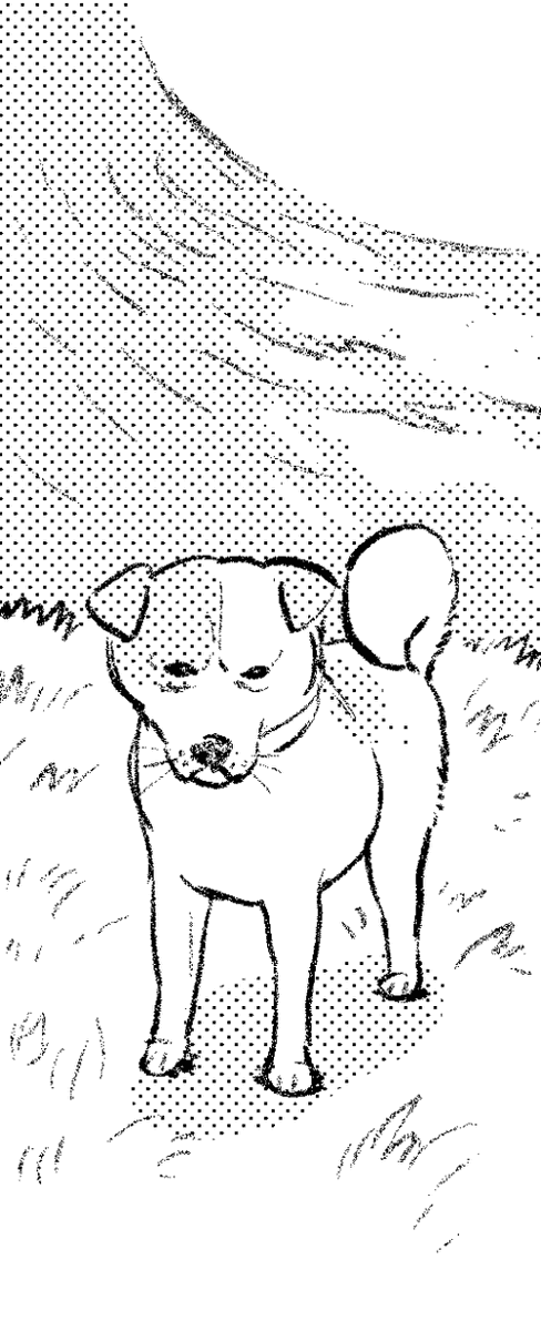 自分好みの犬の表情・動きをよく描けたと思います? 