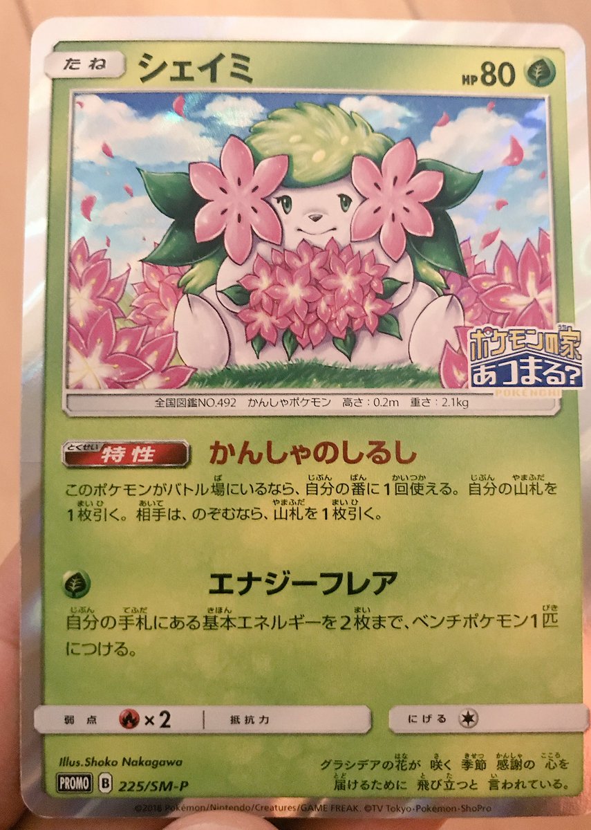大森滋 ポケモン剣盾発売 ポケモンセンター スカイツリータウンで しょこたんが描いたシェイミと 周年感謝のシェイミをもらいました ピカチュウも来てた