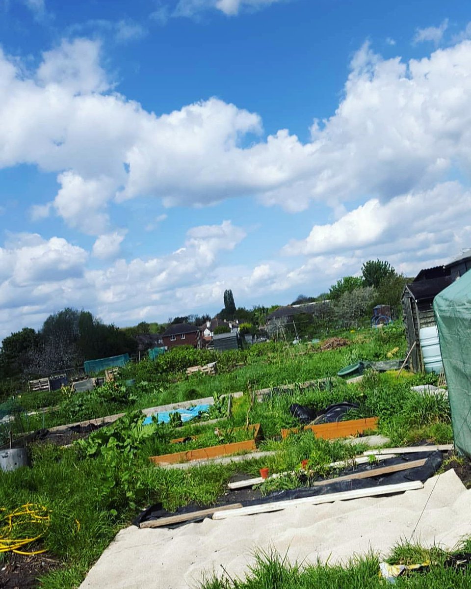 myameliarose's tweet photo. Planted some beans down my allotment and its rained for like 24 hours since 🤔 hope they are still surviving! https://t.co/RjvlxDPvlY