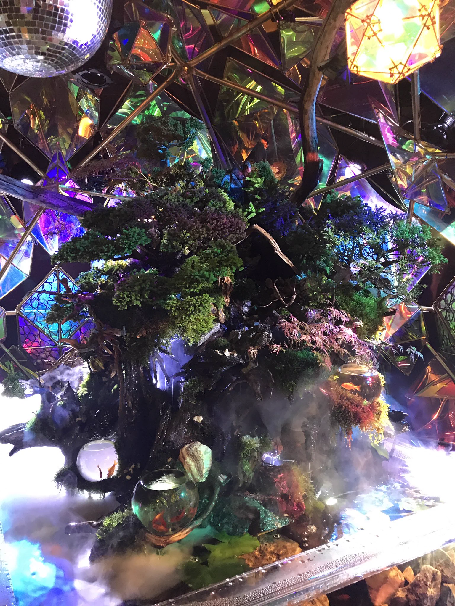 GWの穴場スポット！？奈良に新しくできた金魚ミュージアムがマジでガラガラらしい！