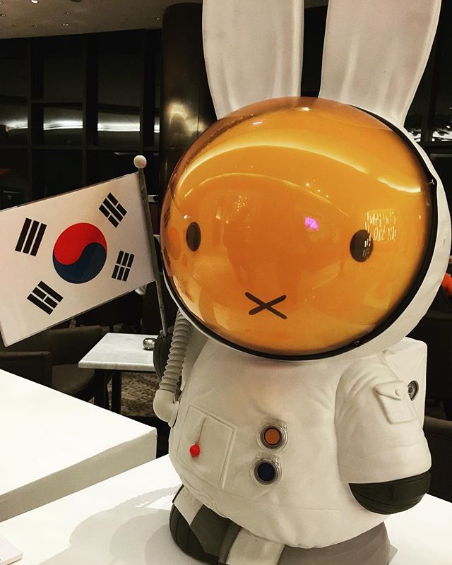 Miffy_UK's tweet photo. One small step for Miffy!

Photo by Instagram user pish_valerie https://t.co/K92pDVQwZW