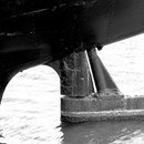 partywithapp's tweet image. ⛴💃😮🤘