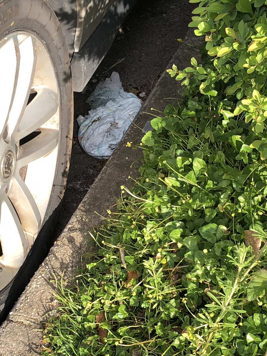 shewolfgirl70's tweet image. Disgusting - people who leave dirty nappies in #barryleisurecentre car park &amp;amp; mistake a bush for a bin #keepwalestidy #keepbarrytidy #dirty #lazy #barrybados