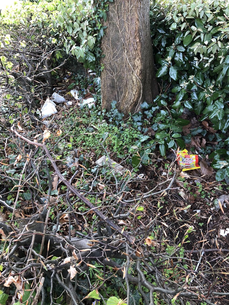 shewolfgirl70's tweet image. Disgusting - people who leave dirty nappies in #barryleisurecentre car park &amp;amp; mistake a bush for a bin #keepwalestidy #keepbarrytidy #dirty #lazy #barrybados