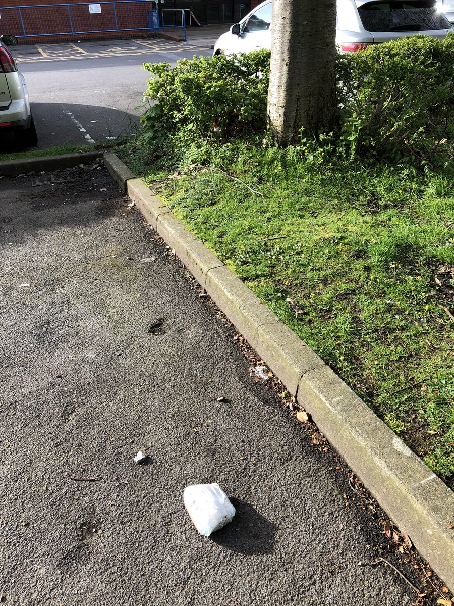 shewolfgirl70's tweet image. Disgusting - people who leave dirty nappies in #barryleisurecentre car park &amp;amp; mistake a bush for a bin #keepwalestidy #keepbarrytidy #dirty #lazy #barrybados