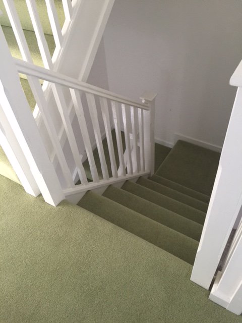 Adam Carpets tweet media