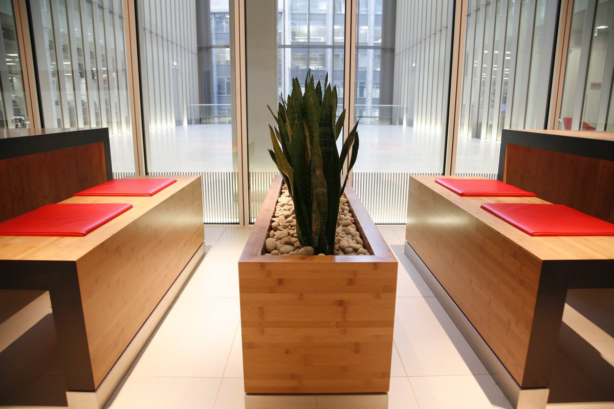 PlantDesignsLdn's tweet photo. Bring nature indoors, along with fresh air and a wealth of other benefits for your workplace and colleagues. https://t.co/CXytKbefNg https://t.co/b7ywyrsVTf
