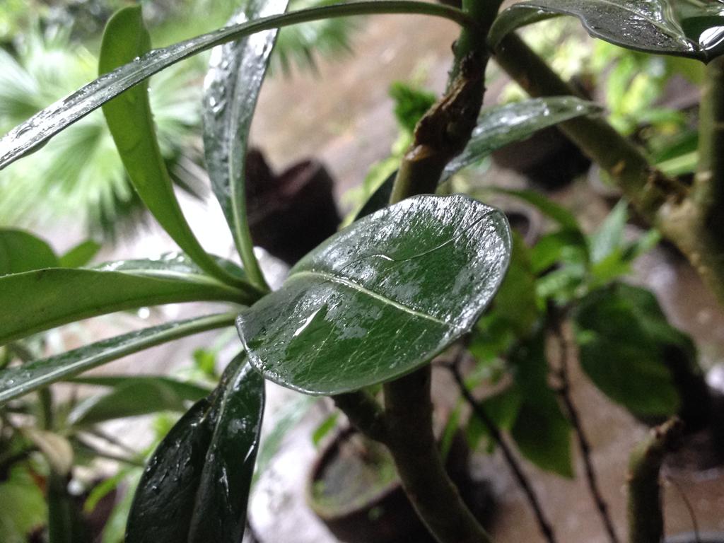 jonnahhh's tweet photo. 🌱💦 https://t.co/MLmHejARU1