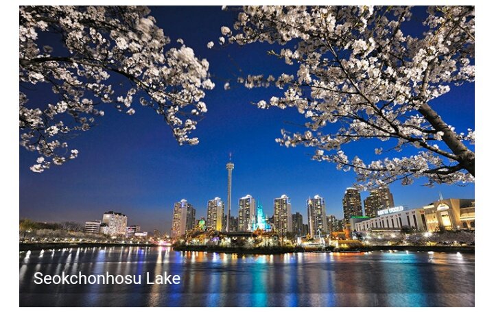 tinemdl_'s tweet image. 📍Seokchonhosu Lake 🌸
A cherry blossom festival is held every spring at Songpanaru Park, also known as Seokchonhosu Lake, a peaceful lake park that surrounds Lotte World. 

#SpringDestinations
#VisitKorea #KTOManila #WKS2018