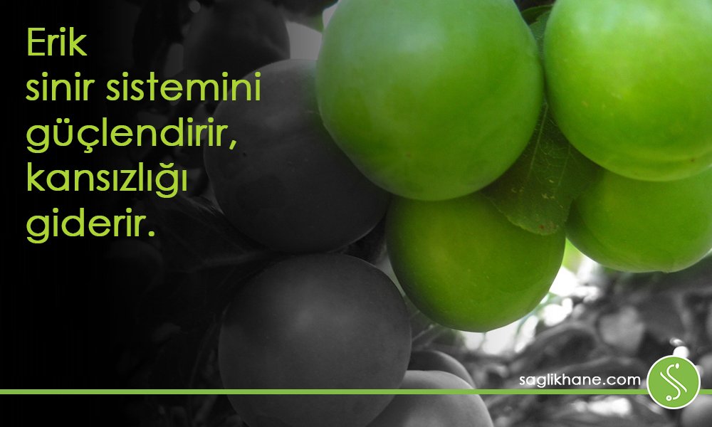saglikhane's tweet photo. Biliyor musunuz?
#hergünyenibirsağlık #erik #kansızlık #sinir #sistemi #sağlıkhane #sağlık https://t.co/HudKIeXMv4