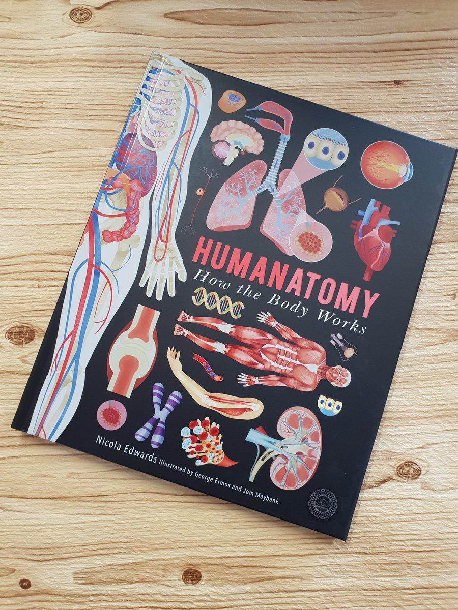 LittleTigerUK's tweet photo. Happy #publicationday to #Humanatomy! The book that everyBODY will love. ๐ช https://t.co/Xo7jumnse9