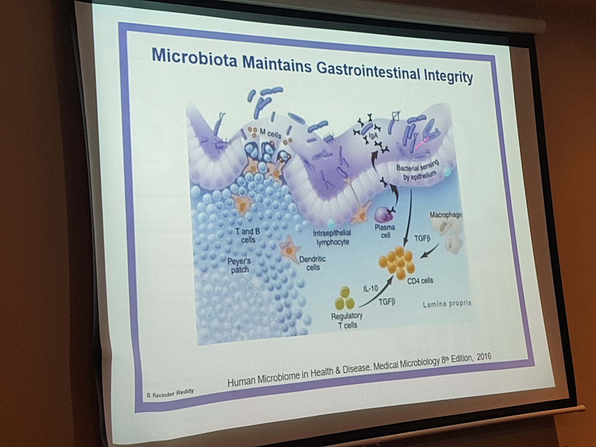 Emily Johnston Flies On Twitter The Large Intestine Is The Images, Photos, Reviews