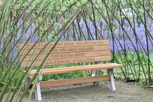 The Gardens of Warton Hall are now open

lythamlifeandstyle.co.uk/event/gardens-…
Love to see your photos! 
(Not sure if this bench is still there)