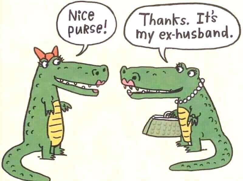 GianGe's tweet photo. #Crocodile #exhusband https://t.co/nQqfia2rp2